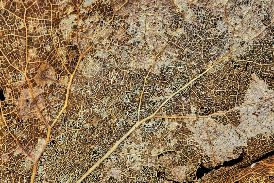 Tecnología geoespacial en España